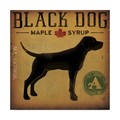 Trademark Fine Art Ryan Fowler 'Black Dog At Show No Vt' Canvas Art, 18x18 WAP06311-C1818GG